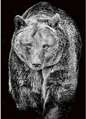 Black and white diamond dot painting of Black Bear