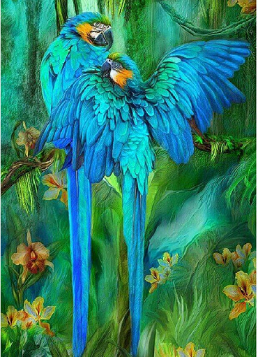 Blue Macaw