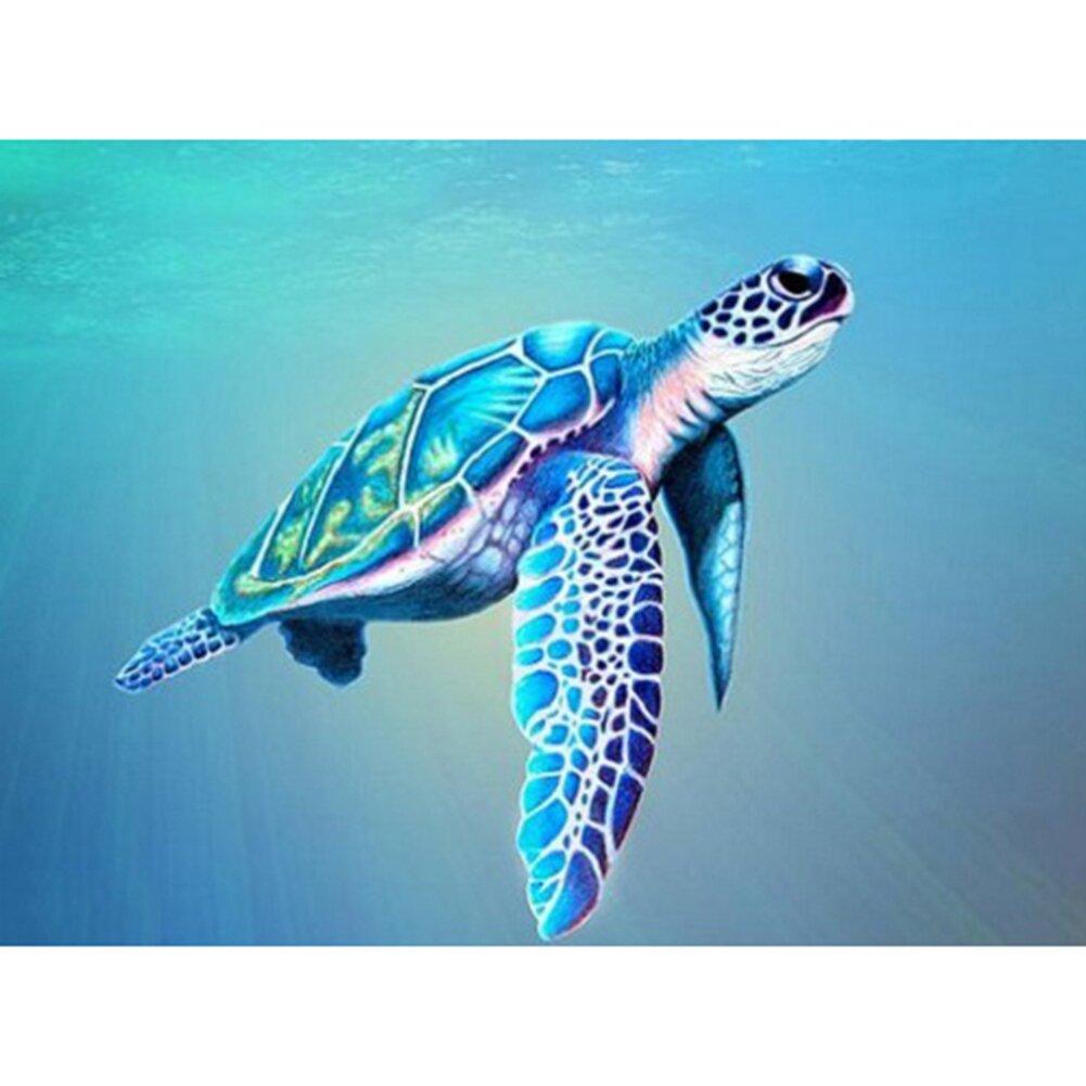 Blue Turtle