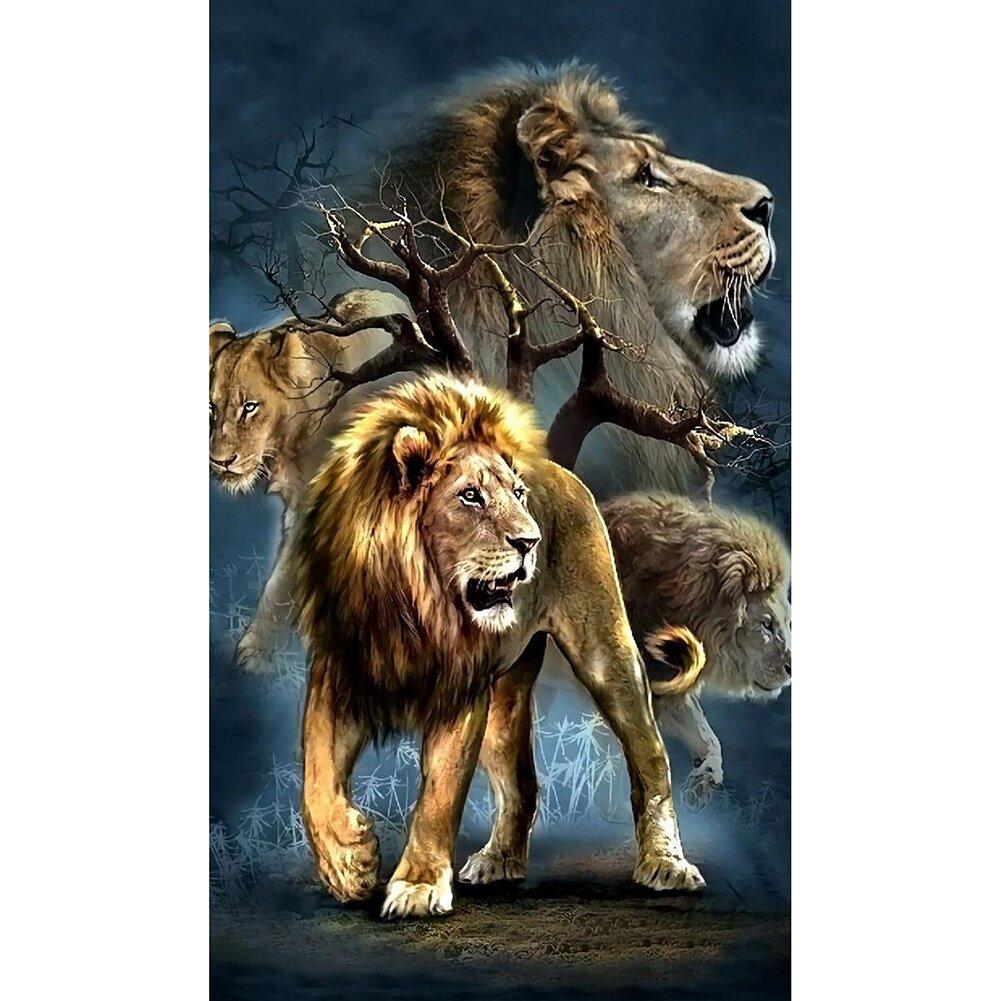 Lion family