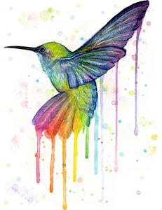 Watercolour Hummingbird colourful