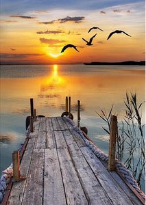 Sunset Jetty with birds